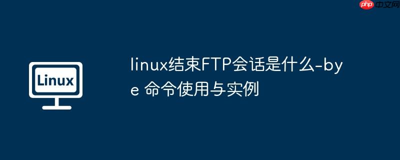 linux结束FTP会话是什么-bye 命令使用与实例