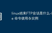 linux结束FTP会话是什么-bye 命令使用与实例