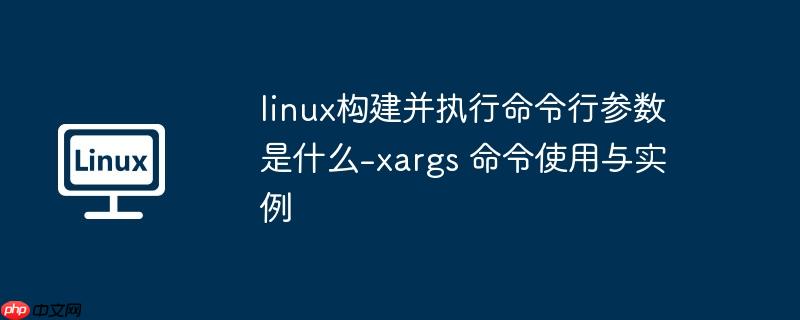 linux构建并执行命令行参数是什么-xargs 命令使用与实例