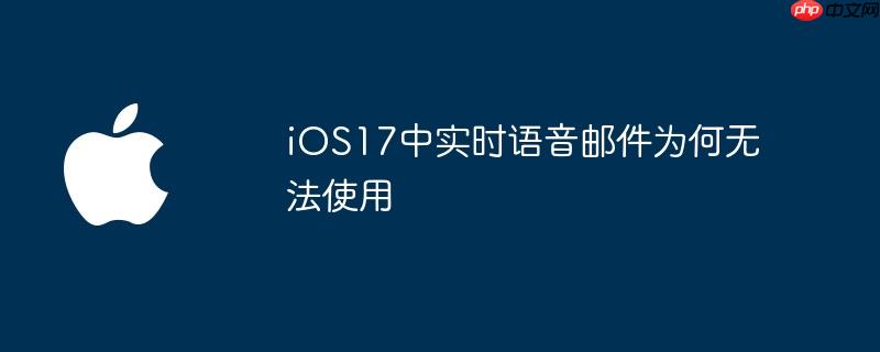 ios17中实时语音邮件为何无法使用