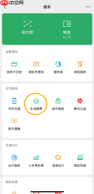微信支付生活缴费现已全面适配 iOS 和安卓屏幕朗读，还支持字体放大