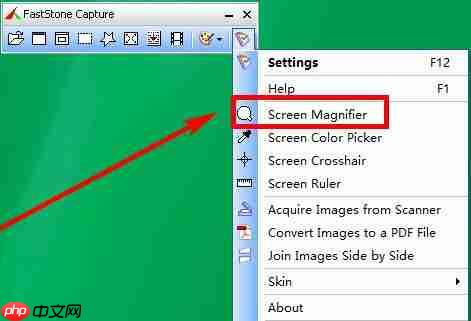 FastStone Capture放大镜怎么用