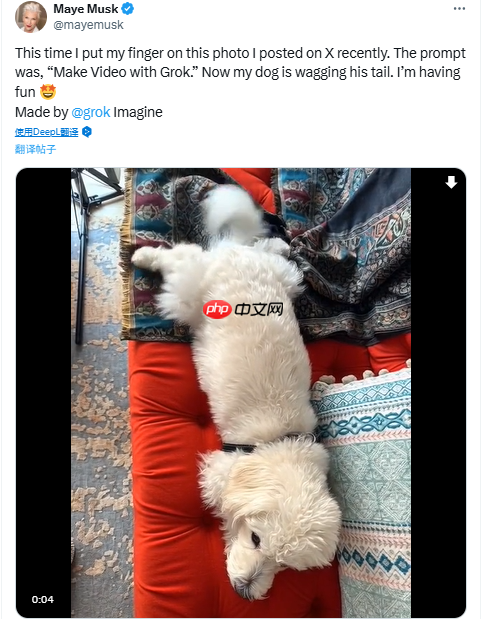 马斯克母亲发帖支持儿子:演示Grok视频生成功能