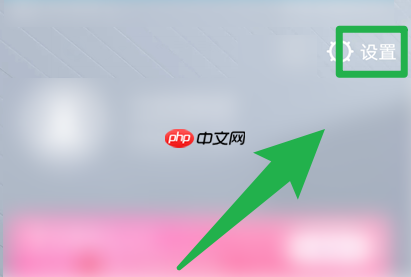 yuzu模拟器如何设置才更流畅？yuzu模拟器设置更流畅的方法