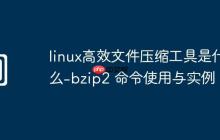 linux高效文件压缩工具是什么-bzip2 命令使用与实例