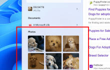 微软Windows 11搜索迎来全新功能！可直接搜索图片并显示结果