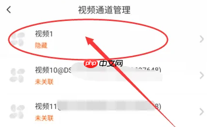 萤石云视频被隐藏了怎么办？萤石云视频被隐藏了的解决方法