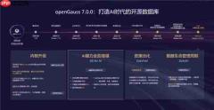 openGauss向量驱动新智能 RAC多写破局 内核升级再启航
