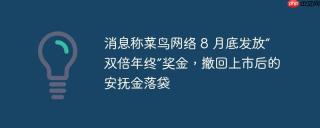 消息称菜鸟网络 8 月底发放“双倍年终”奖金，撤回上市后的安抚金落袋