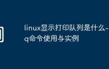 linux显示打印队列是什么-lpq命令使用与实例