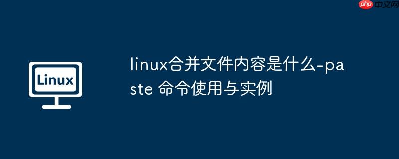 linux合并文件内容是什么-paste 命令使用与实例