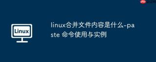 linux合并文件内容是什么-paste 命令使用与实例