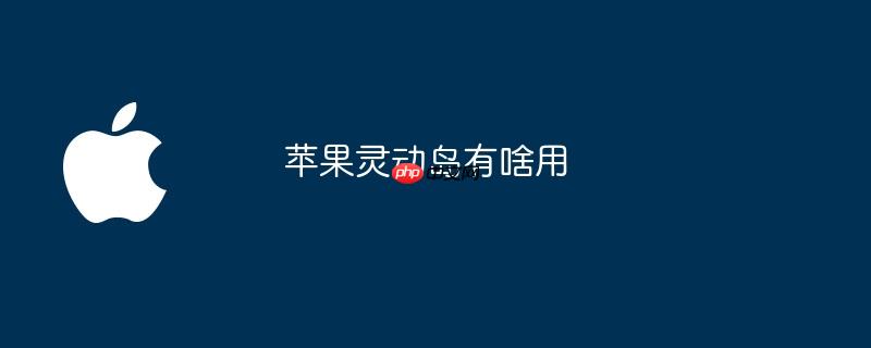苹果灵动岛有啥用