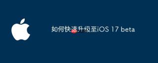 如何快速升级至iOS 17 beta