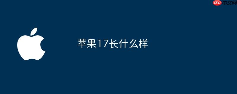 苹果17长什么样