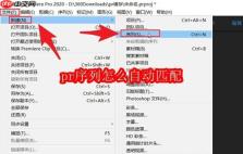 pr序列怎么自动匹配
