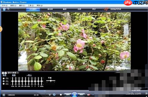 windows media player如何播放mp4