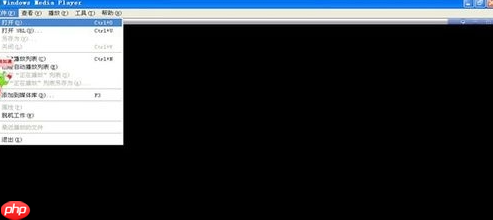 windows media player如何播放mp4
