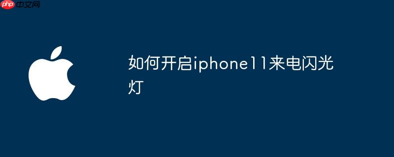 如何开启iphone11来电闪光灯