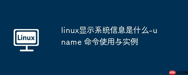 linux显示系统信息是什么-uname 命令使用与实例