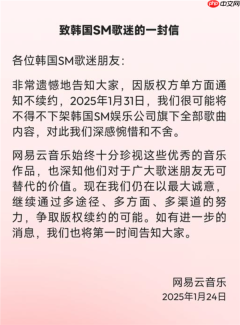 网易云音乐起诉韩国 SM 娱乐,涉及滥用市场支配地位纠纷
