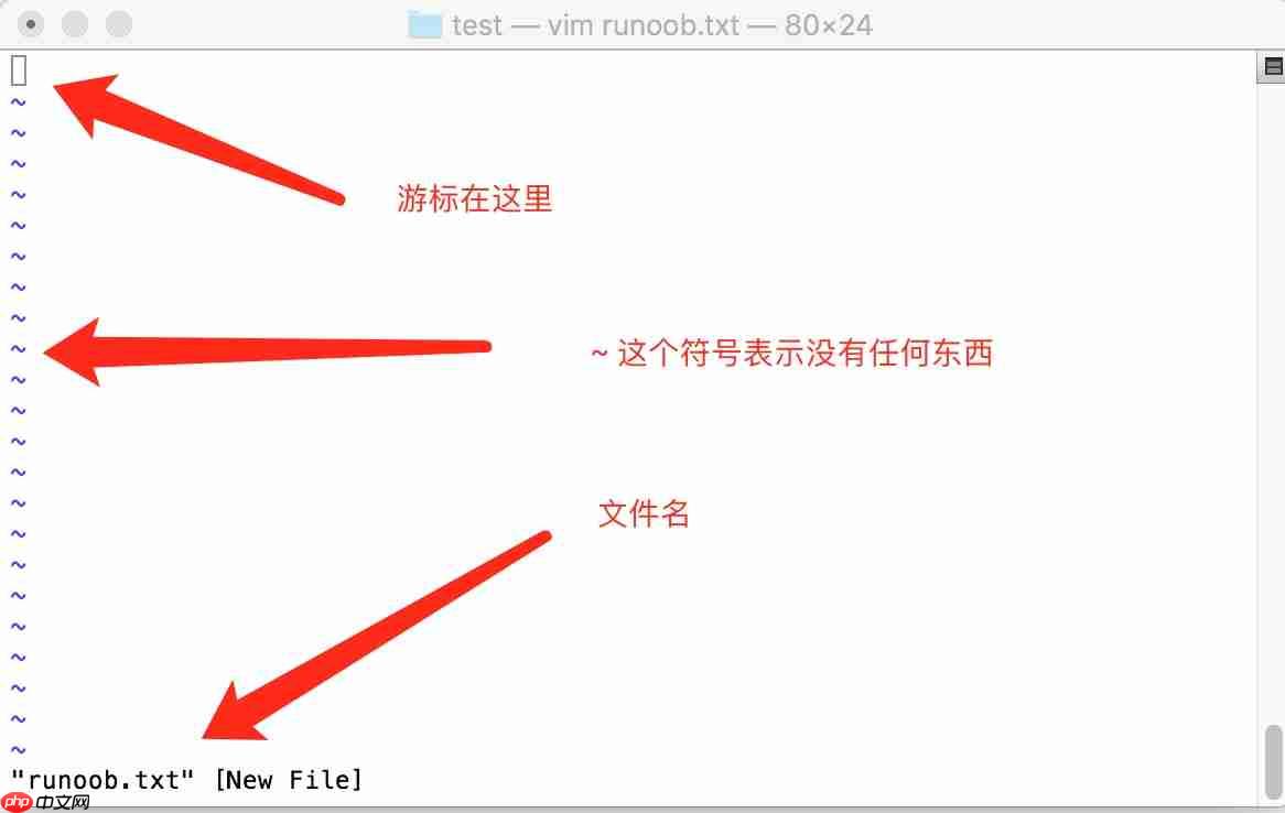 Linux vi/vim-强大的文本编辑器