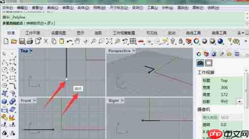 Rhino开启自动捕捉功能的方法