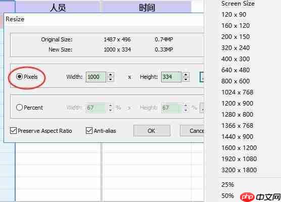 FastStone Capture怎么设置图片尺寸