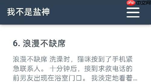我不是盐神网页入口在线阅读小说 - 最新我不是盐神官网入口网站 - php中文网