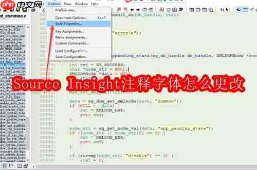 source insight注释字体怎么更改
