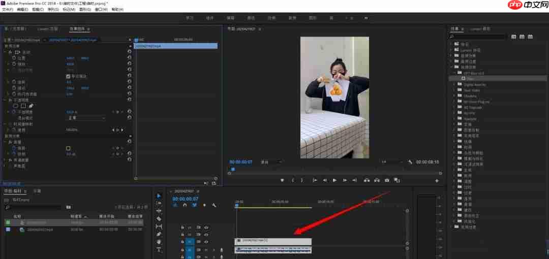 premiere放射光线特效的方法