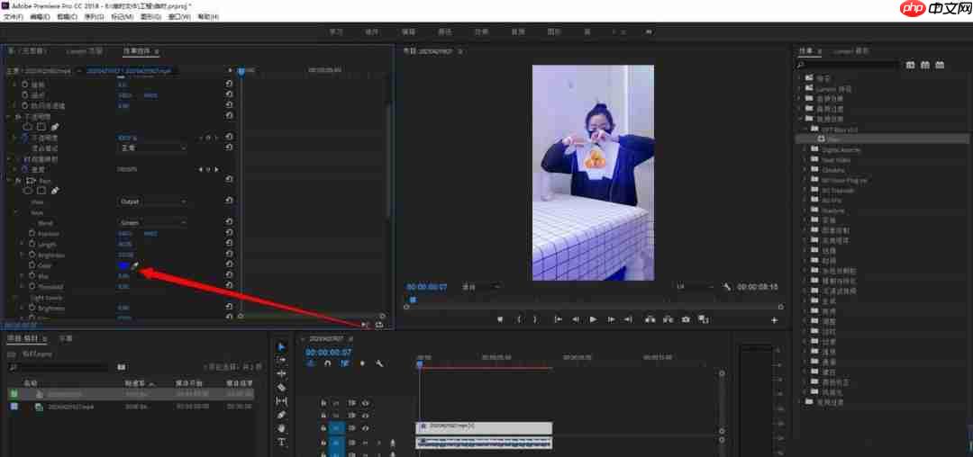 premiere放射光线特效的方法