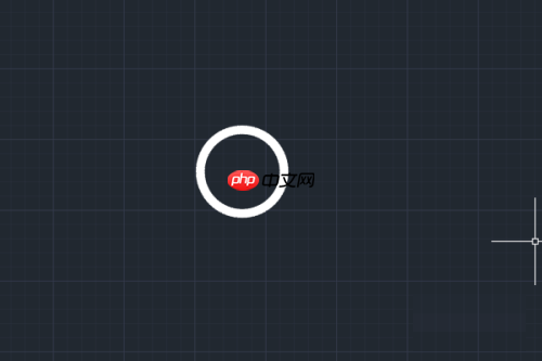 AutoCAD怎么绘制圆环