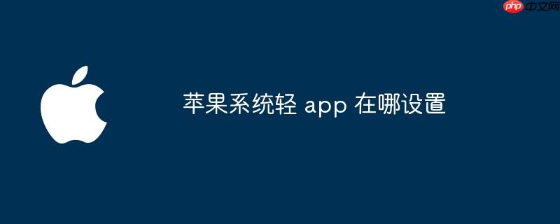 苹果系统轻 app 在哪设置