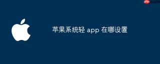 苹果系统轻 app 在哪设置