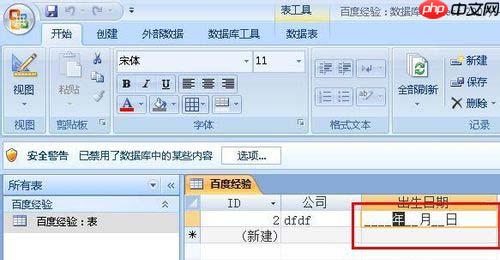access单元格如何设置输入掩码格式