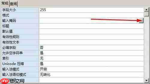 access單元格如何設(shè)置輸入掩碼格式
