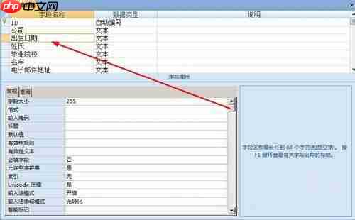 access單元格如何設(shè)置輸入掩碼格式