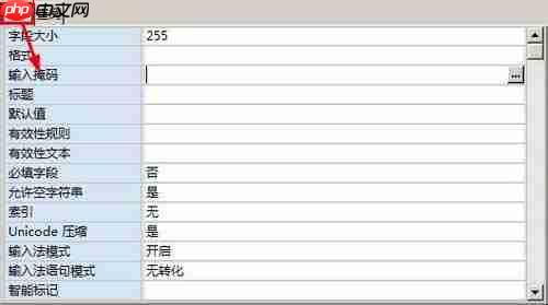 access單元格如何設(shè)置輸入掩碼格式