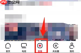 央视频如何看直播?央视频看直播教程