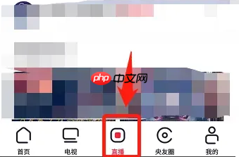 央视频如何看直播?央视频看直播教程