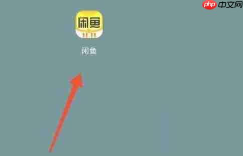闲鱼怎么查看闲鱼公约？闲鱼查看闲鱼公约方法