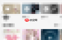 QQ音乐怎么查看音乐DNA？QQ音乐查看音乐DNA教程