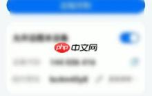 ToDesk手势怎么设置为长按?ToDesk手势设置为长按教程