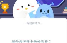 小鸡宝宝考考你鳄梨是哪种水果的别称?支付宝蚂蚁庄园12月14日答案