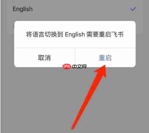 飞书如何切换语言？飞书切换语言教程