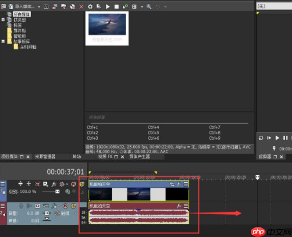 vegas pro怎么对时间线复制视频轨道