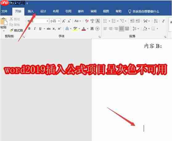 word2019插入公式项目呈灰色不可用怎么办