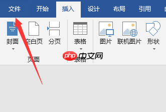 word2019插入公式项目呈灰色不可用怎么办