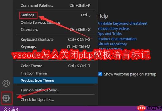 vscode怎么关闭php模板语言标记